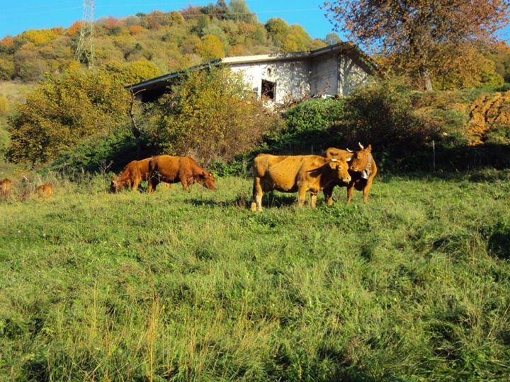Agriturismo La Part ซานเซโน ดี มอนตาญญา ภายนอก รูปภาพ